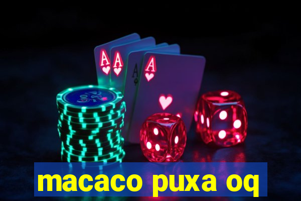 macaco puxa oq
